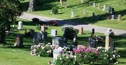 Chestnut Ridge Cemetery